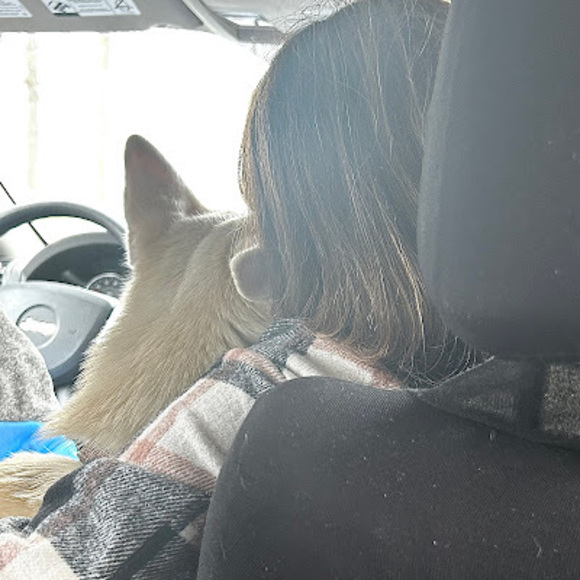 Meet your Posher, Alexandra - Picture 1 of 1